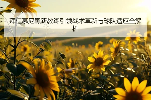 拜仁慕尼黑新教练引领战术革新与球队适应全解析 | HTH SPORTS